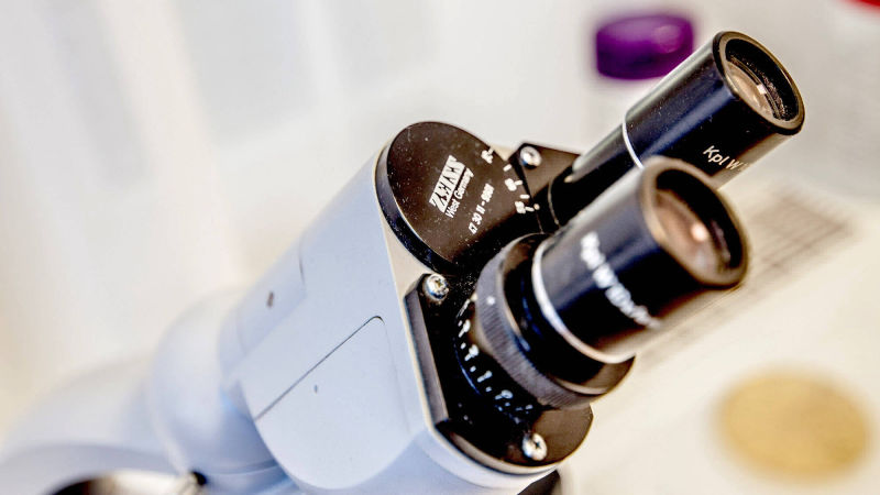 Frauenärztin Iveta Taube